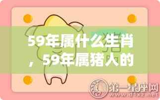 专题 第239页