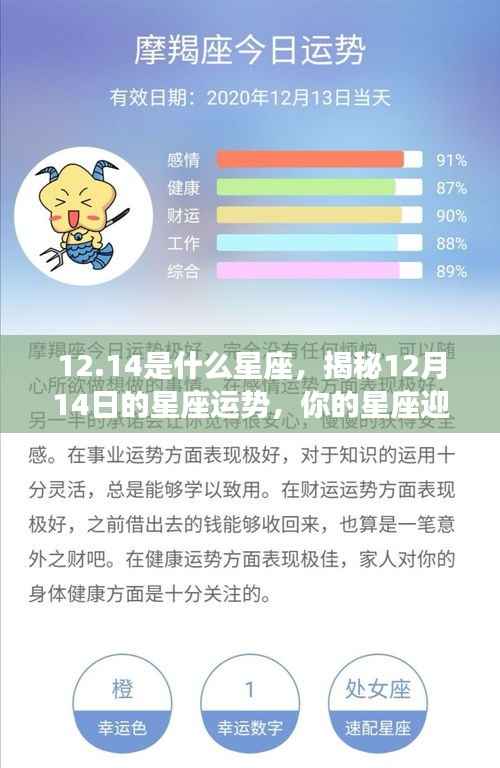 揭秘12月14日星座运势,神秘力量降临,你的星座运势如何?