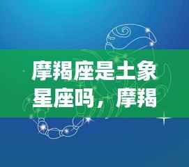 夯雀儿先飞 第5页