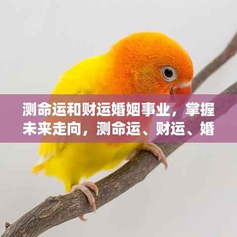 冰肌玉骨 第5页