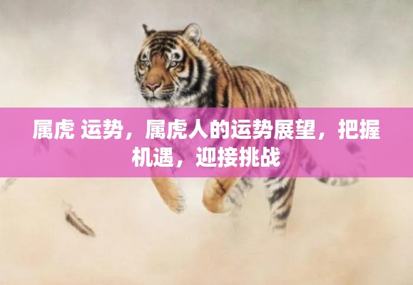 秀外慧中 第4页