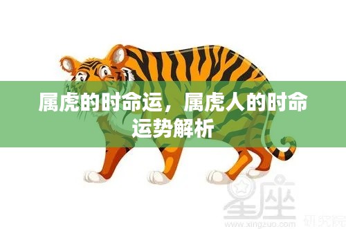 风度翩翩 第5页