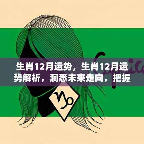 生肖运势解析,洞悉未来走向,把握好运关键之生肖十二月运势展望