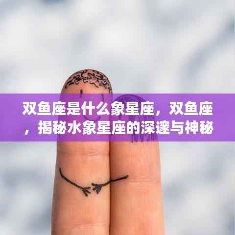 高不成低不就 第4页