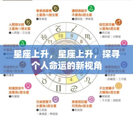 狗尾续貂 第5页