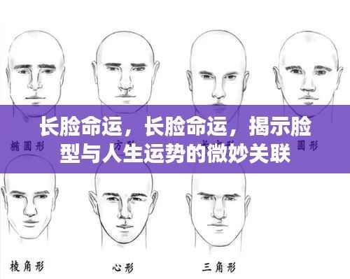 持之以恒 第5页