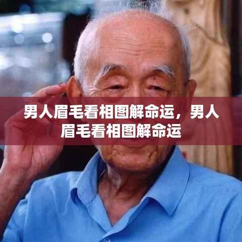 男人眉毛看相图解，解读眉型与命运关联
