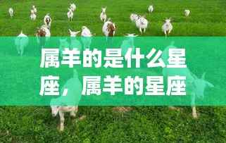 不修边幅 第4页