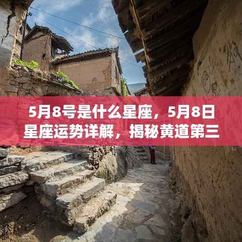 全神贯注 第5页