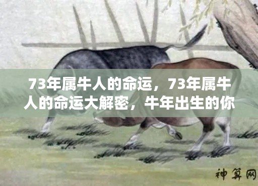 富贵利达 第5页