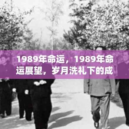 岁月洗礼下的成长与机遇,1989年的命运展望