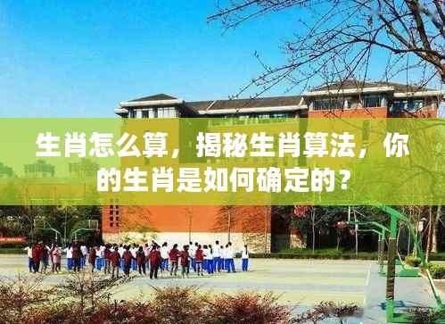 雪中送炭 第4页