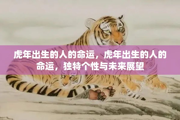 开张圣听 第5页