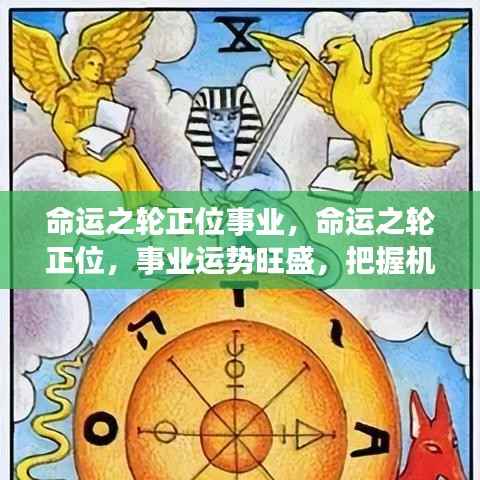 命运之轮正位助力事业腾飞，把握机遇，迈向高峰！