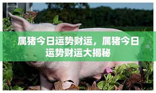 肝胆相照 第5页