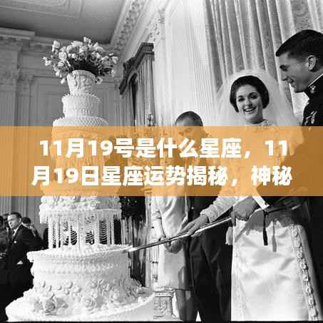 揭秘11月19日星座运势与个性魅力，神秘面纱下的星座秘密