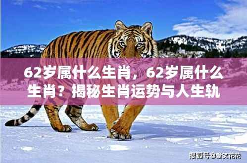 就棍打腿 第5页