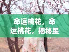 正声雅音 第4页