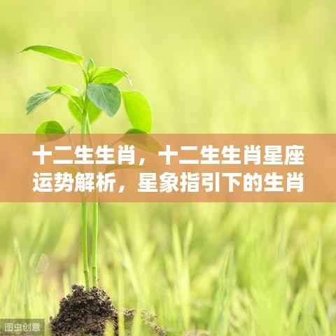 布衣蔬食 第4页