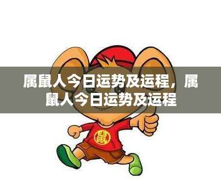 属鼠人今日运势详解及运程预测