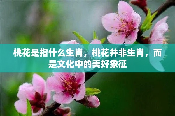 逸兴遄飞 第4页