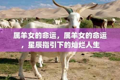 属羊女的命运,星辰照耀下的灿烂人生之旅