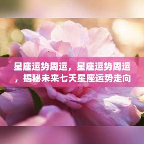 瑞雪纷飞 第4页