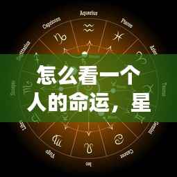 还朴反古 第5页