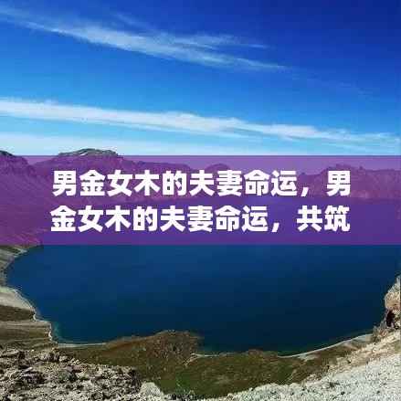 管窥蛙见 第3页