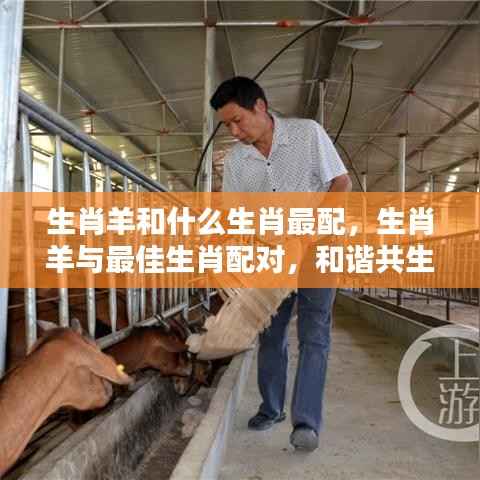 欧贵婚俗 第4页