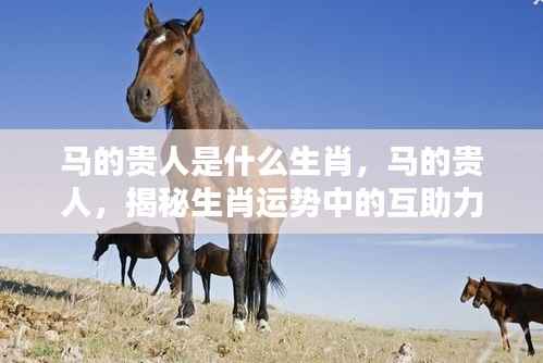 揭秘生肖马贵人相助之力,谁是它的贵人?