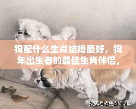 吉光片羽 第3页