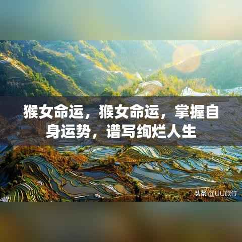 猴女命运掌握秘籍,逆袭人生,谱写绚烂篇章