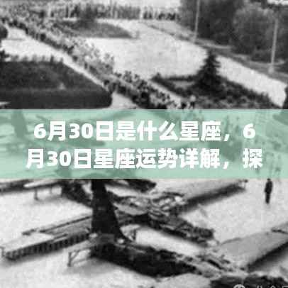 半截鸟木 第3页