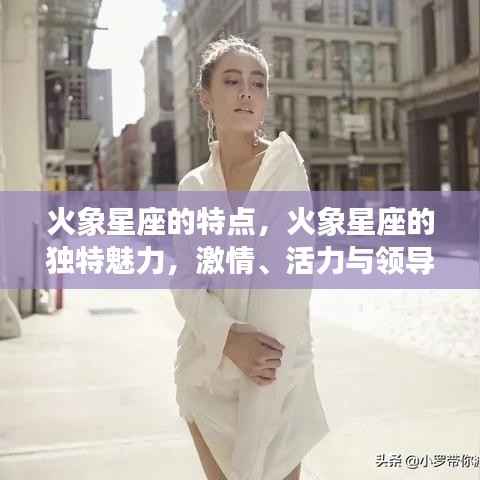 火象星座的独特魅力,激情、活力与领导力的展现