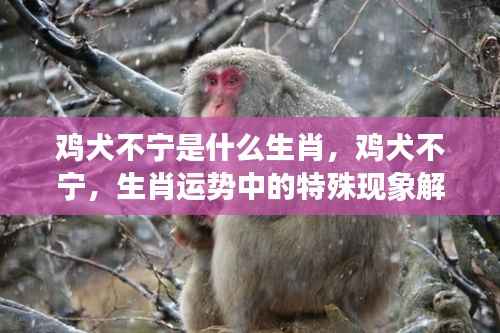 见缝就钻 第3页