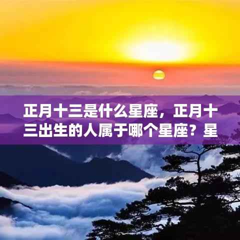 正月十三星座解析与运势展望,探寻属于你的星座运势之路