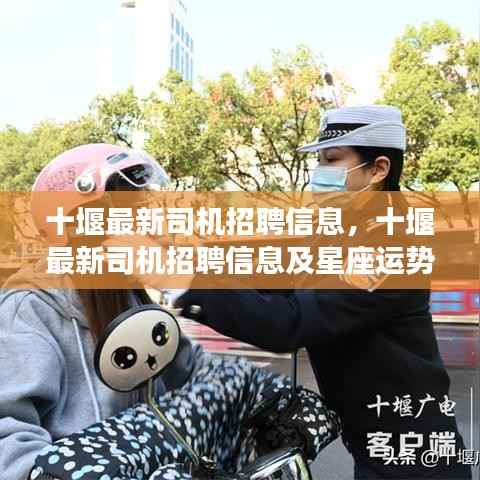 十堰最新司机招聘信息及星座运势概览解析