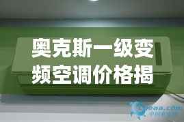 奥克斯一级变频空调价格揭秘，性价比之选，不容错过！
