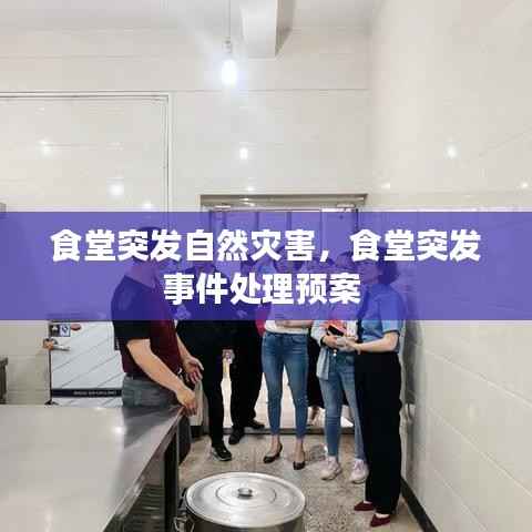 贵人多忘事 第4页