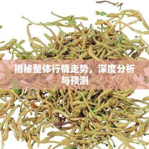 揭秘整体行情走势,深度分析与预测