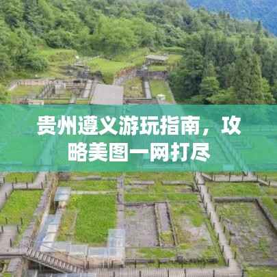 踊贵屦贱 第3页