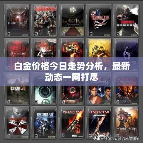 金石为开 第3页