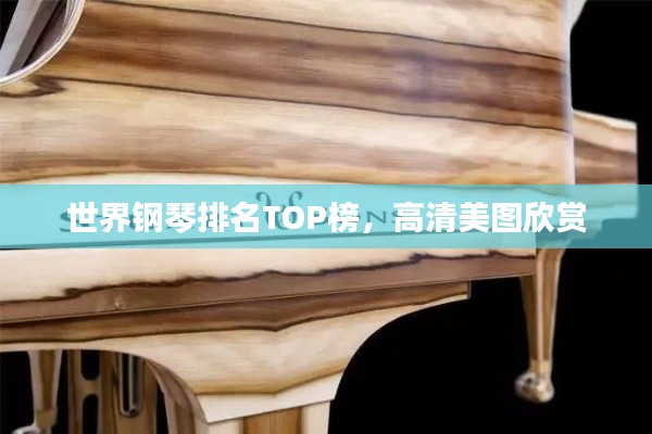 世界钢琴排名TOP榜,高清美图欣赏
