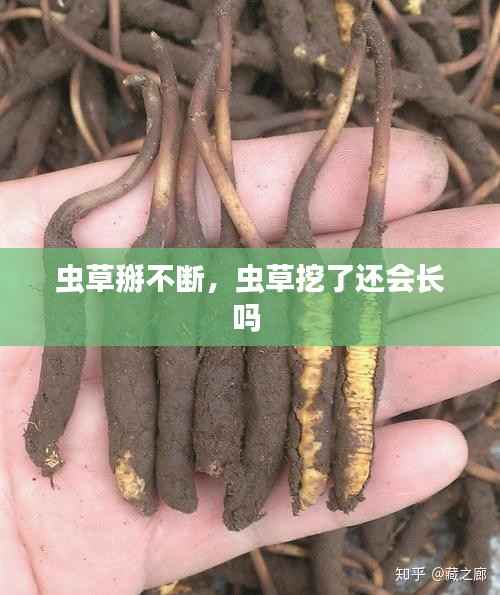 去就之分 第3页