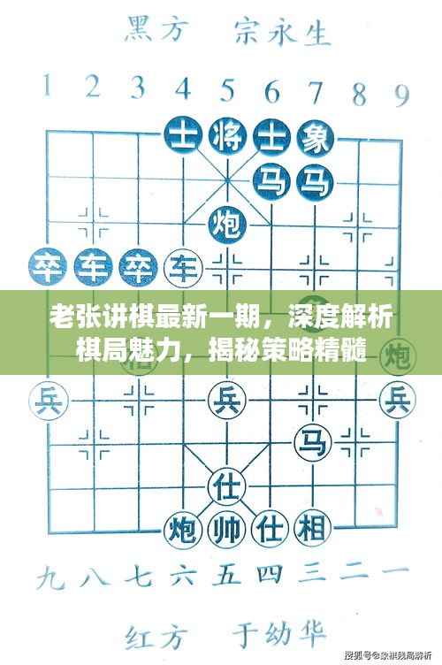 老张讲棋最新一期，深度解析棋局魅力，揭秘策略精髓