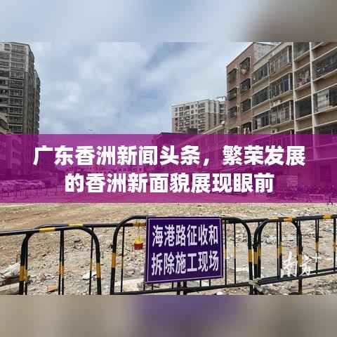 广东香洲新闻头条,繁荣发展的香洲新面貌展现眼前