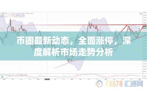 币圈最新动态，全面涨停，深度解析市场走势分析
