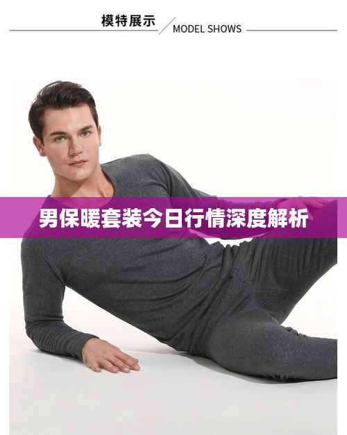 男保暖套装今日行情深度解析