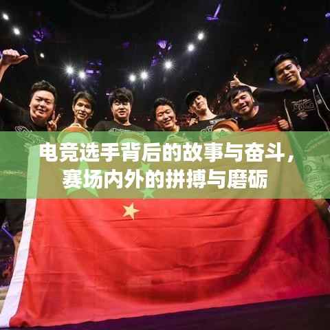 风度翩翩 第3页